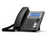 IP Phone T22